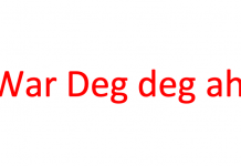 Booliska Finland oo qabtay shan qofood oo looga shakisanyahay falal argagixiso