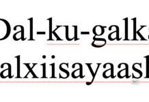 Xukuumadda Finland oo mamnuucaysaa safarada dalxiiska ah ee ay muwaadiniinta Ruushka ah ku imaanayaan Finland