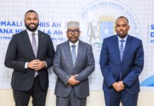 Xildhibaan MP Suldaan Said Ahmed, Ergeyga gaarka ah ee Finland u qaabilsan arrimaha nabadda iyo dhexdhexaadinta Geeska Afrika oo kulan la qaatay Wasiirka iyo Wasiiru dowlaha Arrimaha gudaha, federaalaka iyo dib u heshiisiinta Soomaaliya