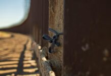 Putinin Venäjä myöntää auliisti viisumeja nuorille afrikkalaisille