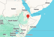 Horn of Africa on the verge of regional conflict over Red Sea amid Egypt’s involvement, Prospects for peace attainable