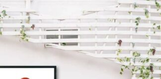 Mahad Sheekh Musse: dhacdooyinka gaangiska ee dhalinyarada soo-galootiga ah: Caqabadaha iyo Xalka